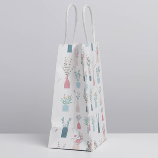 Пакет крафтовый «Ботаника», 12 x 21 x 9 см 3