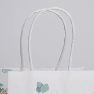 Пакет крафтовый «Ботаника», 12 x 21 x 9 см 4