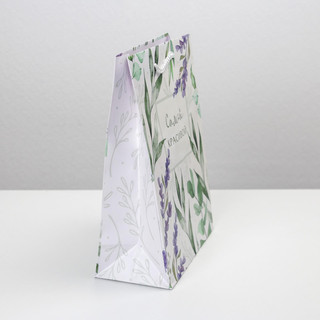 Пакет ламинированный «Best wishes», MS 18 х 23 х 8 см 2