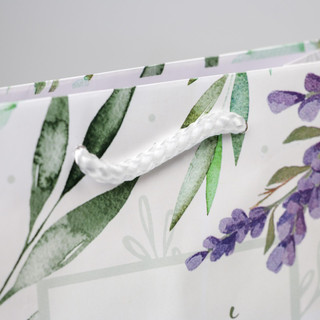 Пакет ламинированный «Best wishes», MS 18 х 23 х 8 см 3