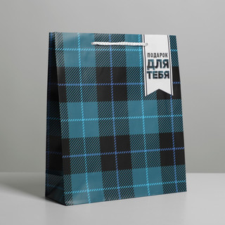 Пакет ламинированный «Real man», ML 21 х 25 х 8 см 1