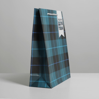 Пакет ламинированный «Real man», ML 21 х 25 х 8 см 2