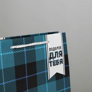 Пакет ламинированный «Real man», ML 21 х 25 х 8 см 3