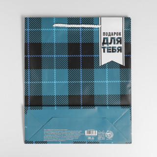 Пакет ламинированный «Real man», ML 21 х 25 х 8 см 4