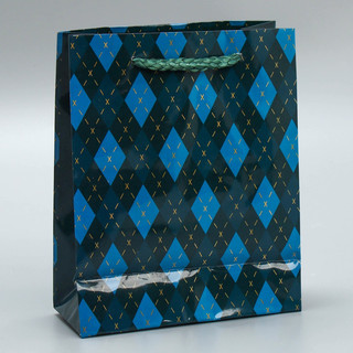 Пакет ламинированный «Клетка», S 12 х 15 х 5,5 см 3