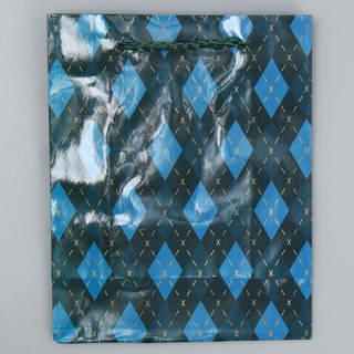 Пакет ламинированный «Клетка», S 12 х 15 х 5,5 см 5