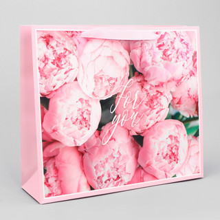 Пакет ламинированный горизонтальный «For you», M 30 х 25.5 х ...