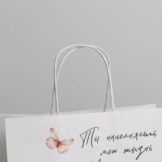 Пакет подарочный «Тепло», 22 x 22 x 11 см 4