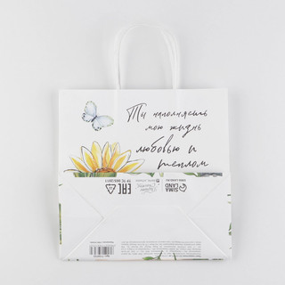 Пакет подарочный «Тепло», 22 x 22 x 11 см 5