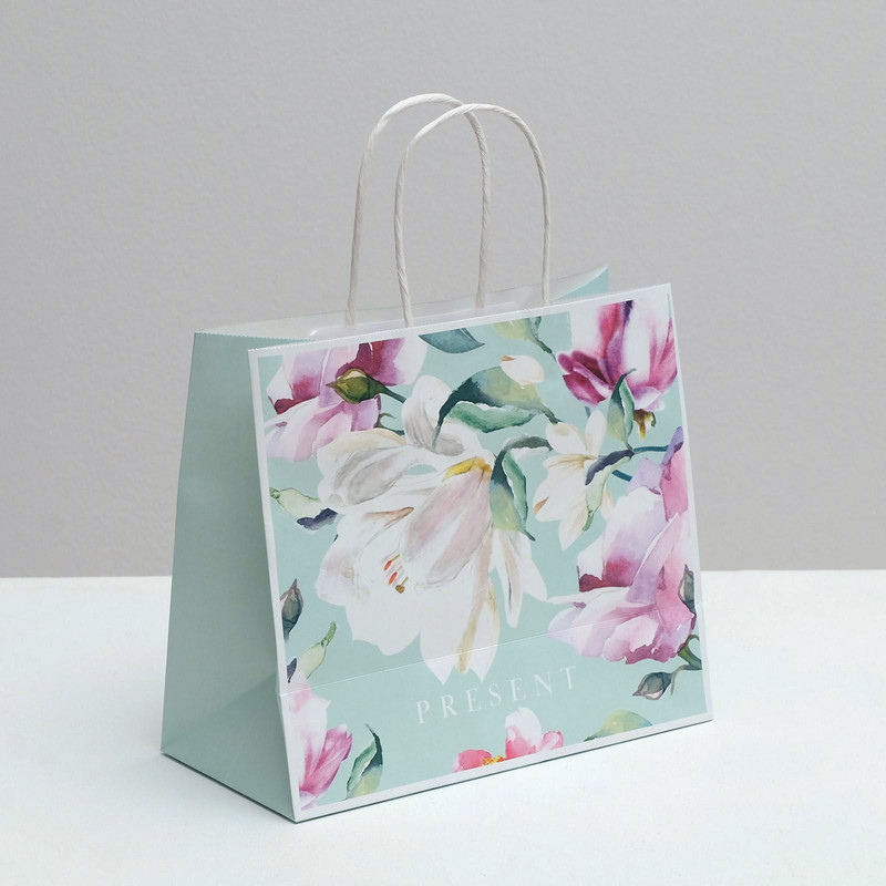 Пакет подарочный крафтовый «Present», 25 x 22 x 12 см