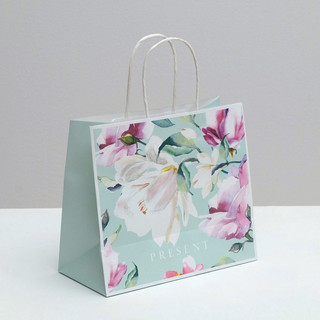 Пакет подарочный крафтовый «Present», 25 x 22 x 12 см 1