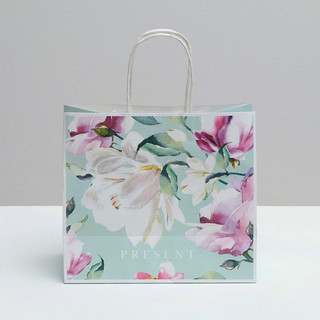 Пакет подарочный крафтовый «Present», 25 x 22 x 12 см 2