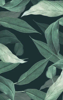 Держатель для карт «Tropical leaves» (6,5 х 9,5 см) 6