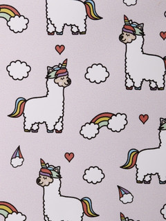 Обложка для паспорта 'Edinolama' 5