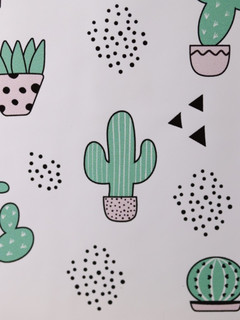 Обложка для паспорта 'Succulents' 4