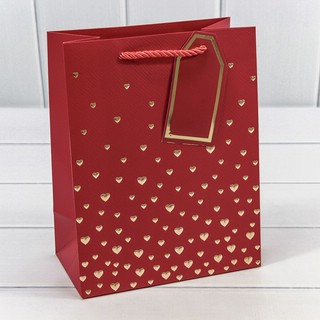 Пакет подарочный с тиснением 'Сердечки' 18х23х10 см, красный