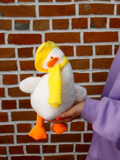 Мягкая игрушка 'Goofy duck', 25 см