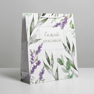 Пакет ламинированный «Best wishes», ML 21 х 25 х 8 см 1