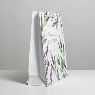 Пакет ламинированный «Best wishes», ML 21 х 25 х 8 см 2