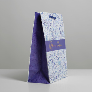 Пакет ламинированный «Вдохновляй», MS 18 х 23 х 8 см 2