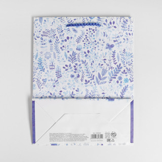 Пакет ламинированный «Вдохновляй», MS 18 х 23 х 8 см 4