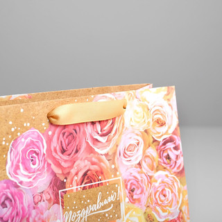 Пакет крафтовый подарочный «Поздравляю», 22 x 17,5 x 8 см 3