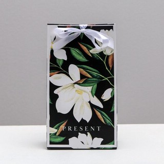 Пакет подарочный с лентой «Present», 13 x 23 x 7 см 1