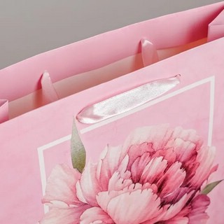 Пакет ламинированный вертикальный «Пион», М 26 x 30 x 9 см 3