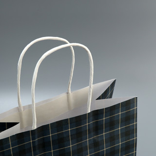 Пакет подарочный крафтовый «Клетка», 22 х 25 х 12 см 5