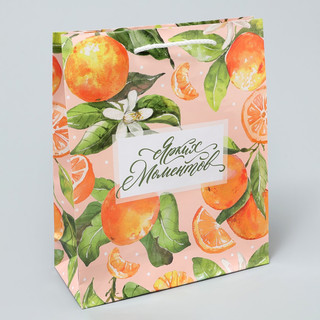 Пакет ламинированный «Ярких моментов», ML 21 х 25 х 8 см 2