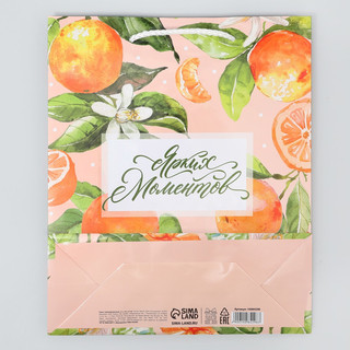 Пакет ламинированный «Ярких моментов», ML 21 х 25 х 8 см 4