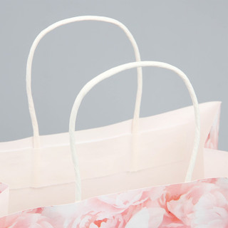 Пакет подарочный «Цветы», 22 х 22 х 11 см 5