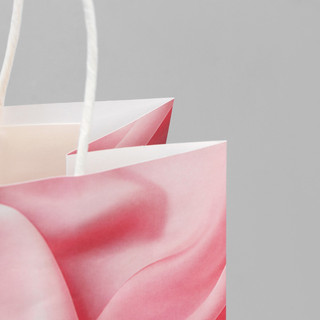 Пакет крафтовый «Мечты», 22 х 25 х 12 см 4