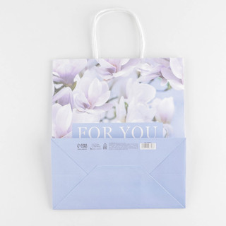 Пакет крафтовый For you, 22 x 25 x 12 см 4