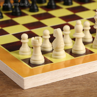 Шахматы 'Классика', доска 29 х 29 см 3