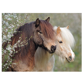 Пазл Ravensburger «Прекрасные пони», 150 эл 3