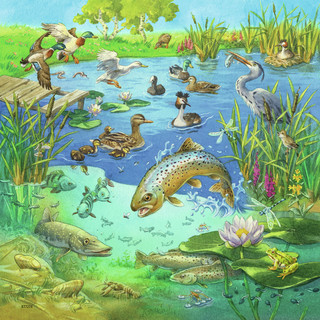 Пазл Ravensburger Мир дикой природы, 3х49 деталей 3