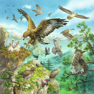 Пазл Ravensburger Мир дикой природы, 3х49 деталей 4