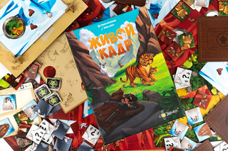 Настольная игра Эврикус 'Живой кадр' 10