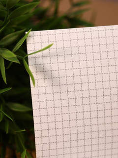 Блокнот А6 Аниме 'Cute cat Girl' 5