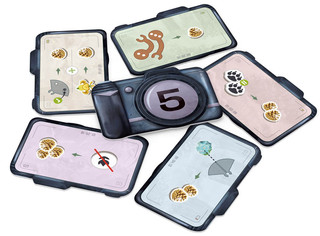 Настольная игра Редвуд 9