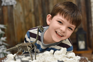 Раскопки ископаемых животных: Брахиозавр. Набор для экспериментов, KONIK Science 7