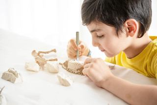 Раскопки ископаемых животных: Брахиозавр. Набор для экспериментов, KONIK Science 8