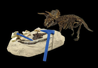 Раскопки ископаемых животных: Трицератопс, KONIK Science 5