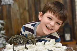 Раскопки ископаемых животных: Трицератопс, KONIK Science 6