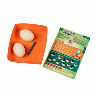 Динозавры в яйцах. Набор для экспериментов, KONIK Science 3