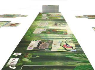 Настольная игра Смешанный лес 9