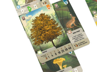 Настольная игра Смешанный лес 3