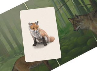 Настольная игра Смешанный лес 4