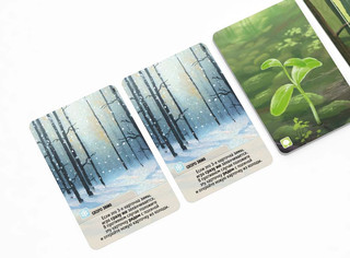 Настольная игра Смешанный лес 6